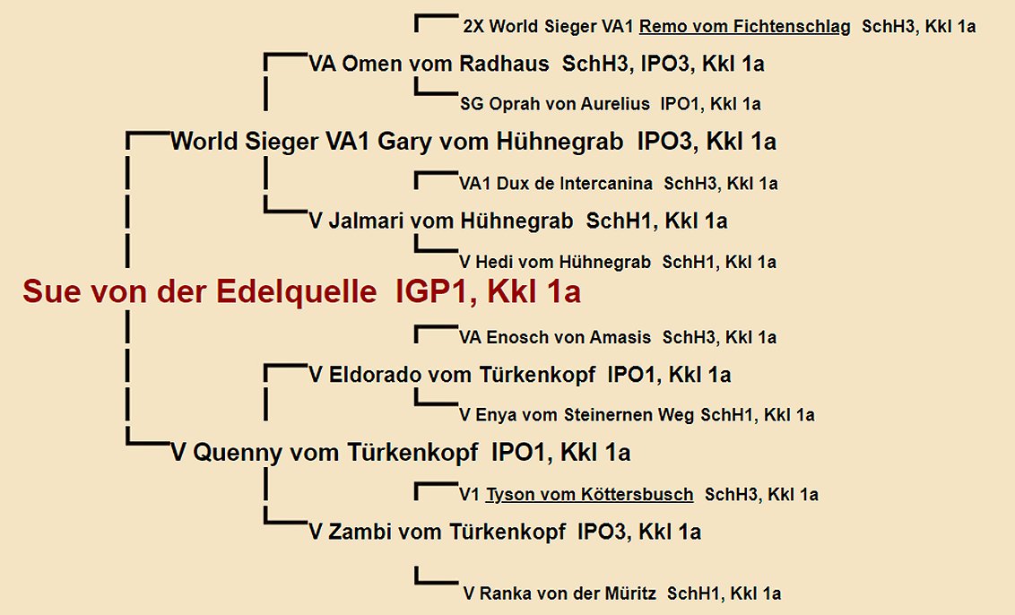 Sue von der Edelquelle IGP1 Pedigree