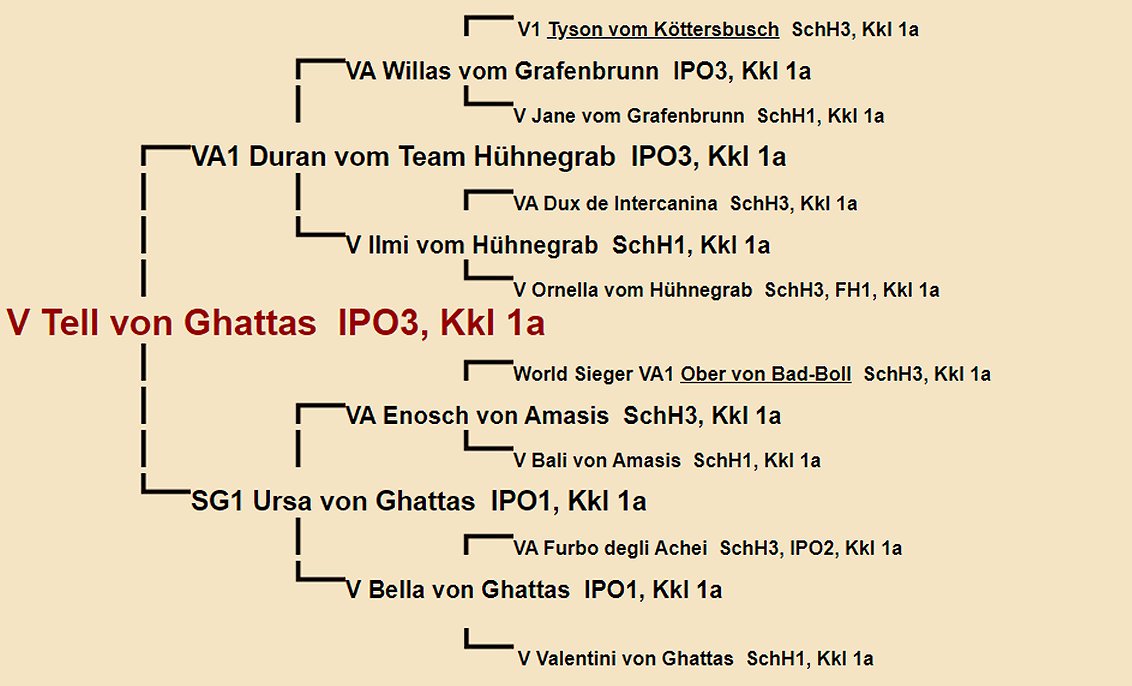 Tell von Ghattas Pedigree