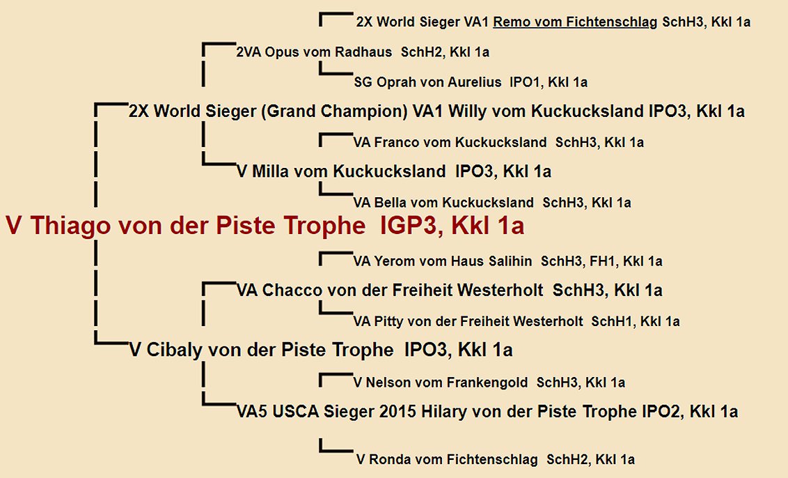 Thiago von der Piste Trophe Pedigree