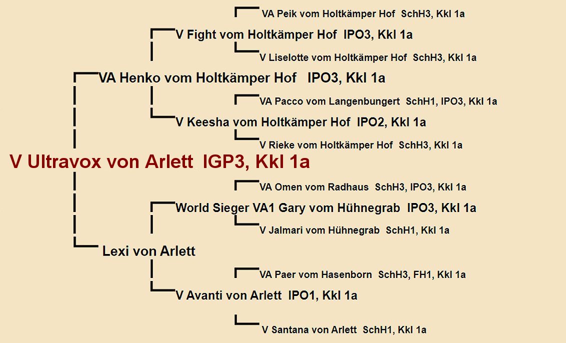 Ultravox von Arlett Pedigree