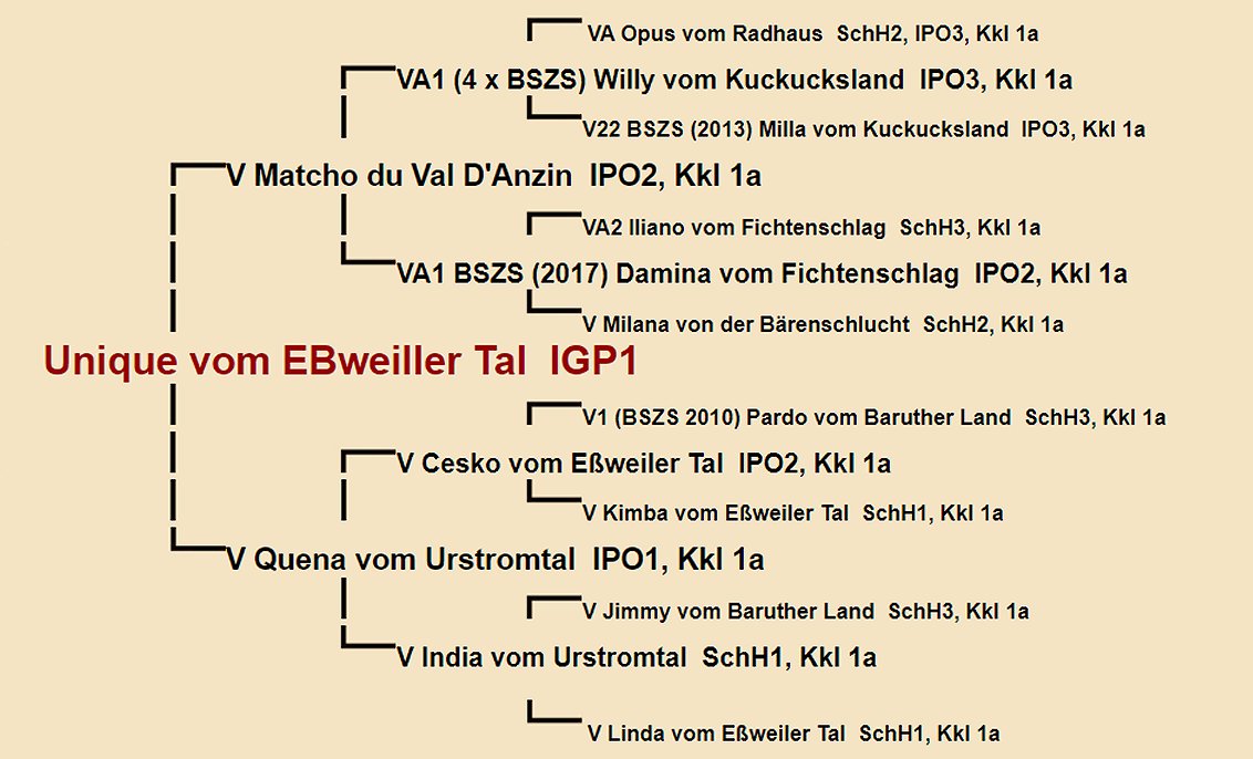 Unique vom EBweiller Tal Pedigree