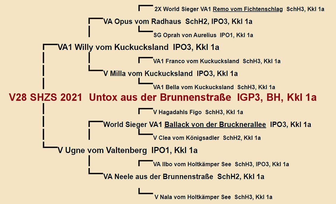Untox aus der Brunnenstra e Pedigree