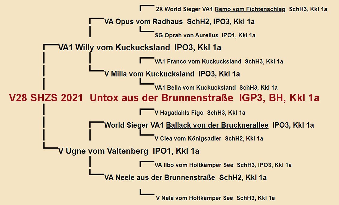 Untox aus der Brunnenstrae Pedigree