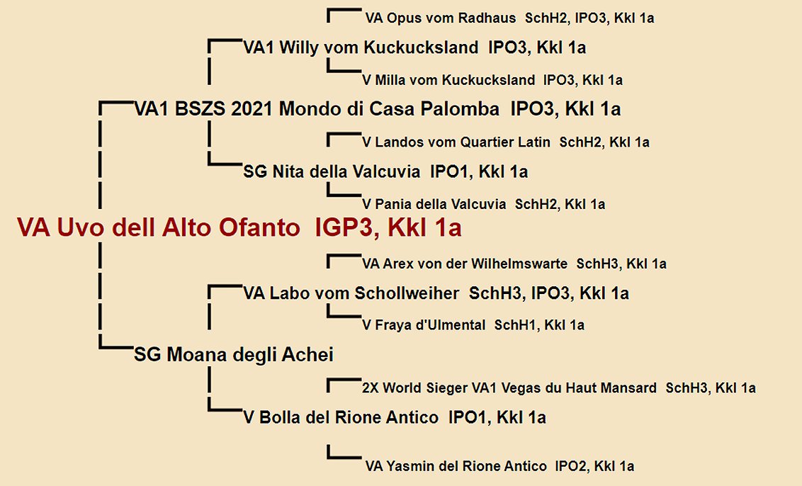 Uvo dell Alto Ofanto Pedigree