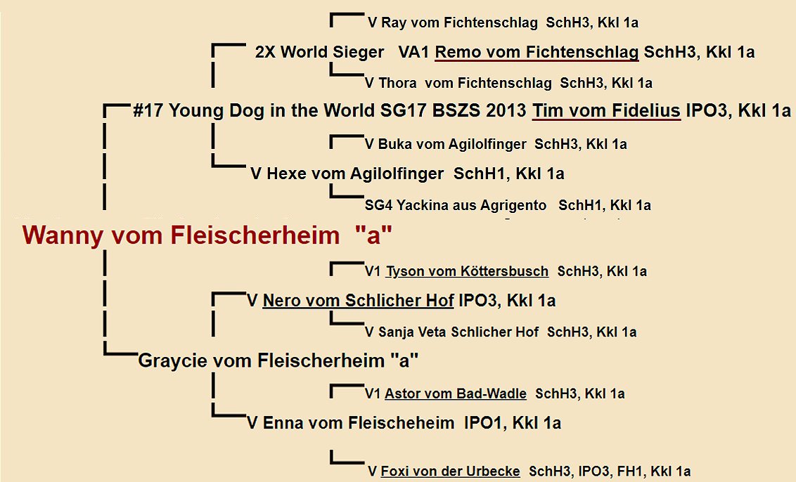 Wanny vom Fleischerheim Pedigree