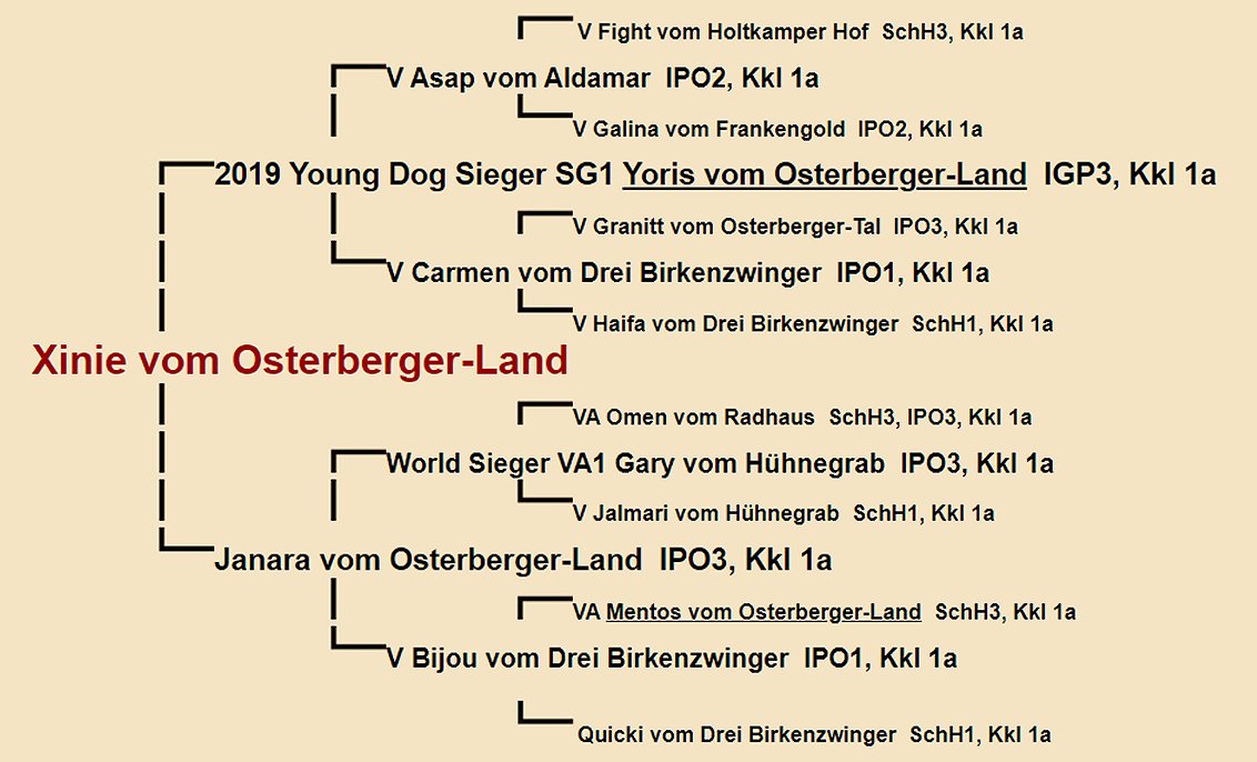 Xinie vom Osterberger-Land Pedigree