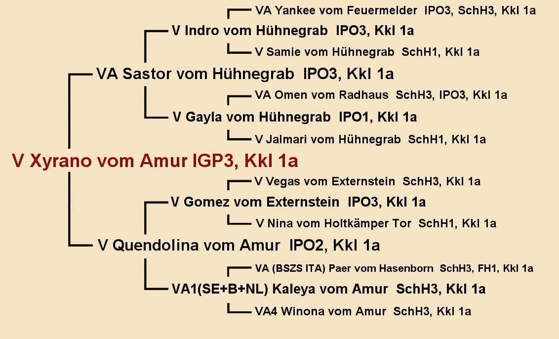 V Xyrano vom Amur IGP3 Pedigree