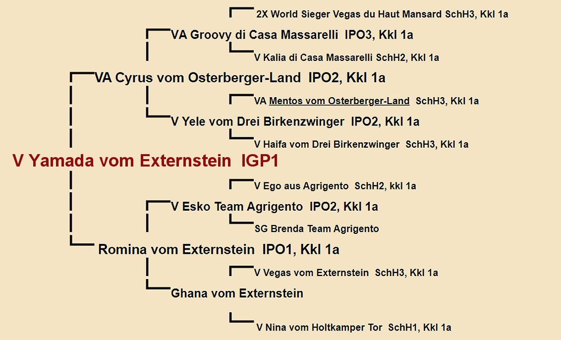 Yamada vom Externstein Pedigree