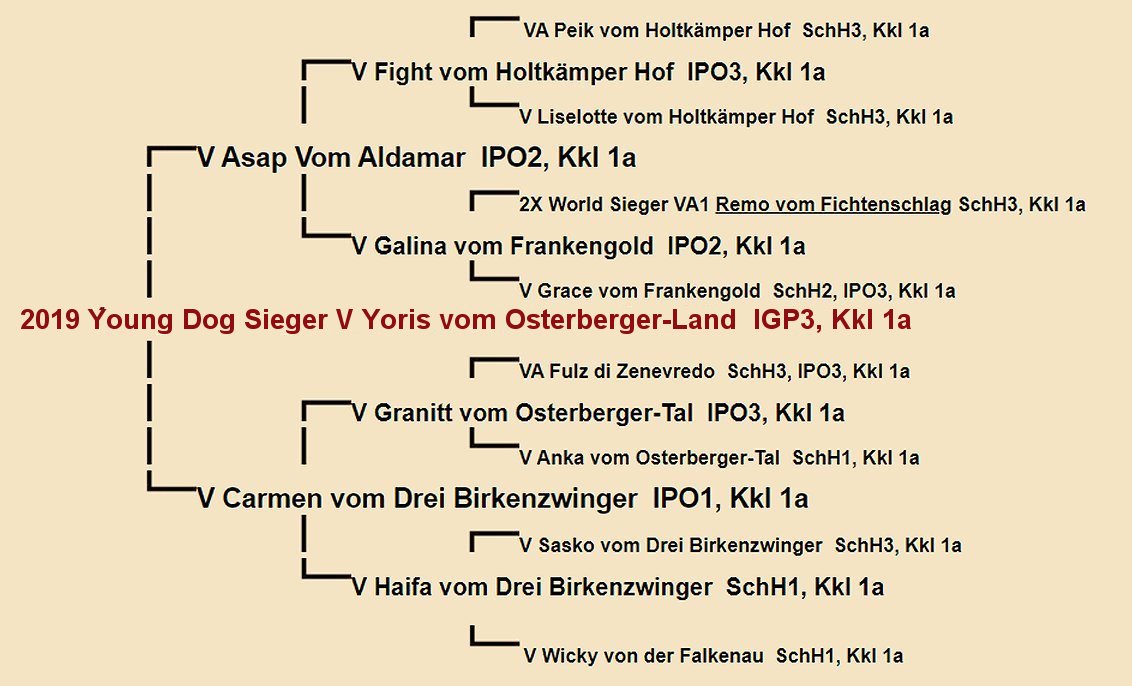 SG1 Yoris vom Osterberger-Land Pedigree