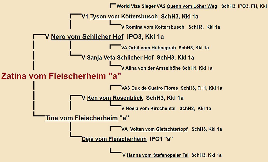 Zatina vom Fleischerheim Pedigree