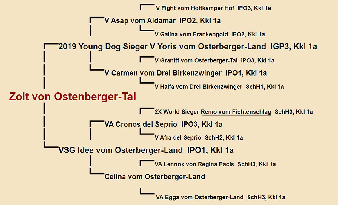 Zolt von Ostenberger-Tal Pedigree