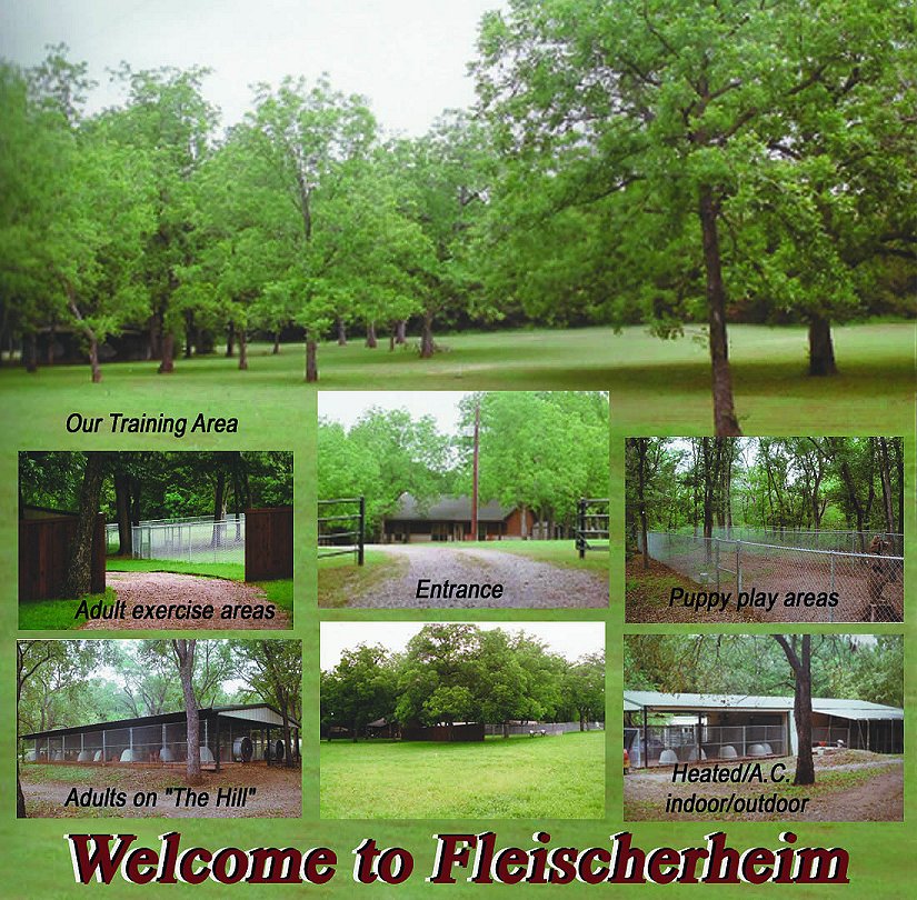 Fleischerheim Dog Kennel and House for sale including 10 acres near Savoy Texas