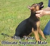 Enna - Tim Puppy Video
